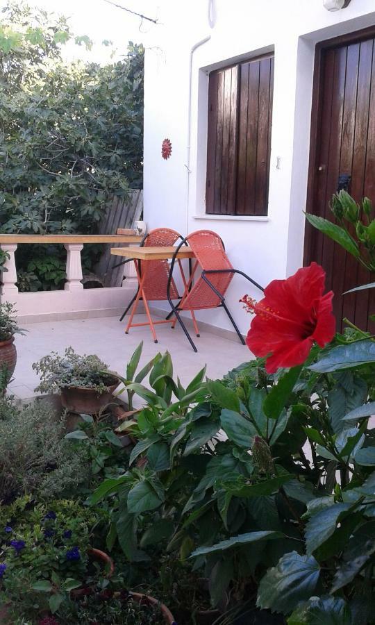Αmmos Rooms باليوخورا المظهر الخارجي الصورة